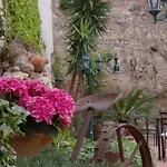 Ceret 3*