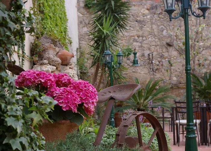 Ceret 3*