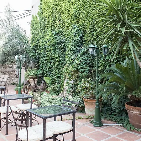 Hotel Ceret 3*