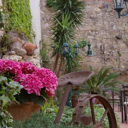 Ceret 3*